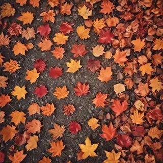 autumn background iphone