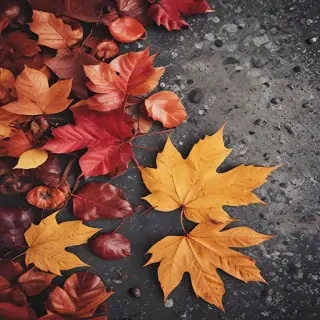 autumn background iphone