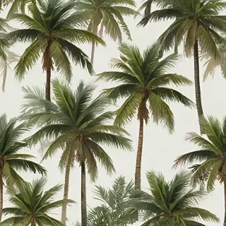 palm trees png
