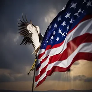 freedom desktop backgrounds