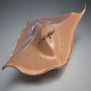 stingray png