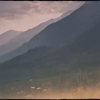 border bg