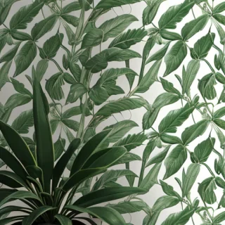 aesthetic plant wallpaper