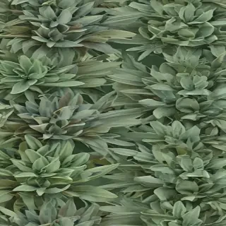 aesthetic sage green