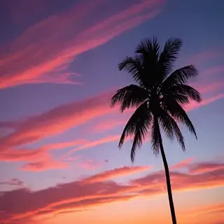 aesthetic sunset wallpaper