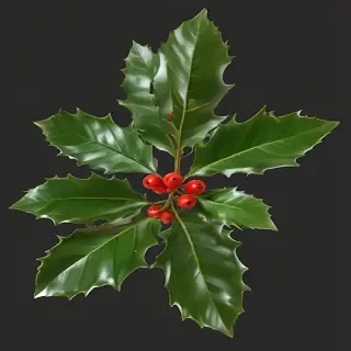 holly png
