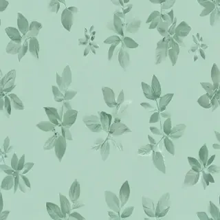 mint green bg