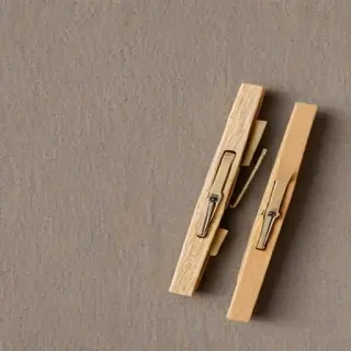 clothespin