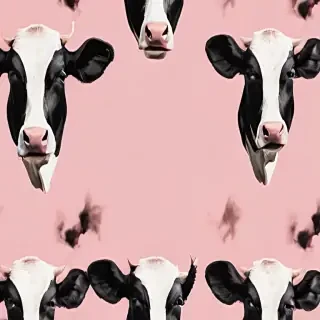 aesthetic cow print wallpaper