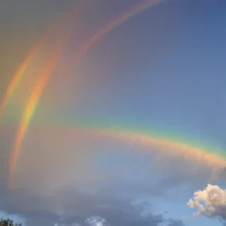 rainbow transparent