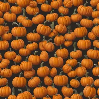 pumpkin png