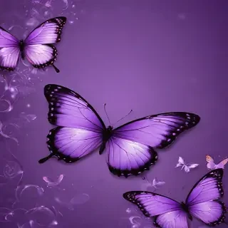 purple butterfly background