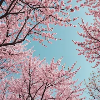 aesthetic spring wallpaper