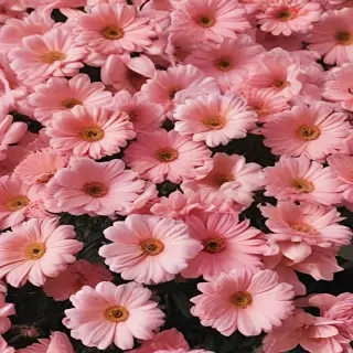 flower aesthetic wallpaper
