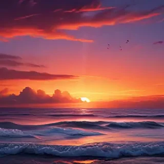 sunset iphone backgrounds