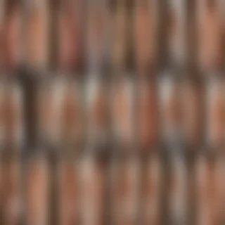 collage png