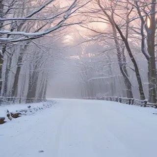 winter zoom background