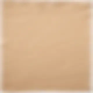 paper ripped png