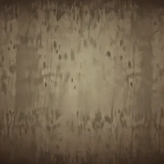 border bg