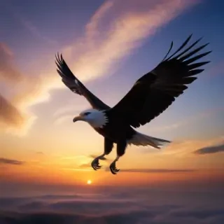 freedom desktop backgrounds