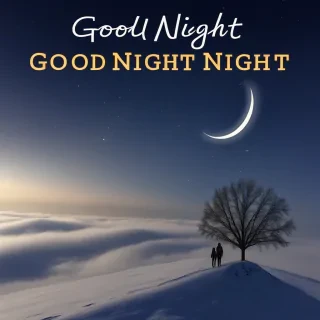 good night