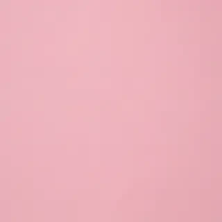 light pink plain background