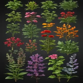 plants transparent background