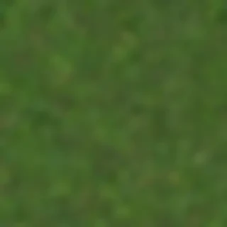 weeds png