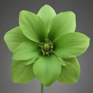 green flower png