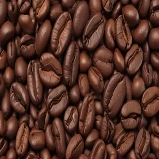 coffee bean png