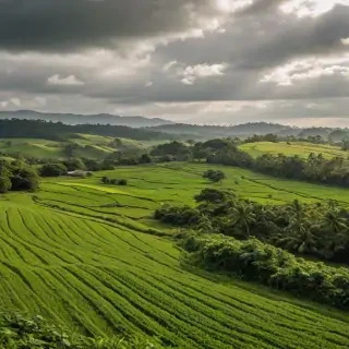 farmland png