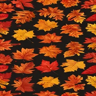 fall leaves png