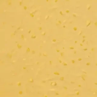 aesthetic yellow bg