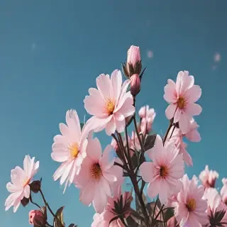 cute aesthetic flower wallpaper