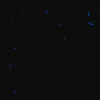 black background with blue
