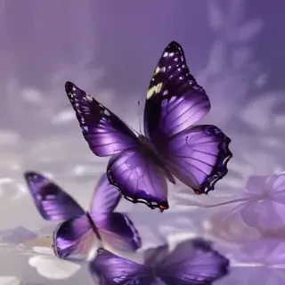 purple butterflies
