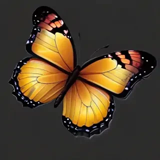 butterfly clipart transparent background