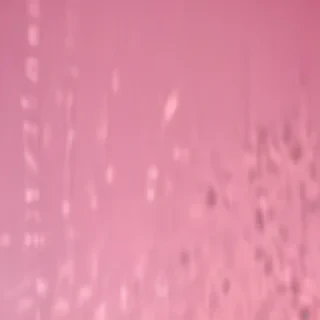 pink plain background
