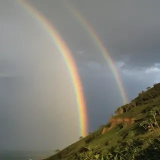 rainbow pictures
