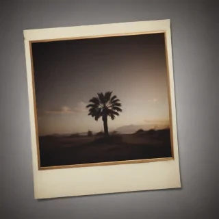 polaroid frame png