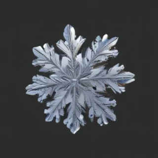 transparent snow png