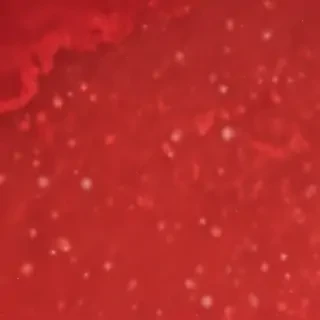 aesthetic red bg