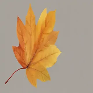 autumn leaf png