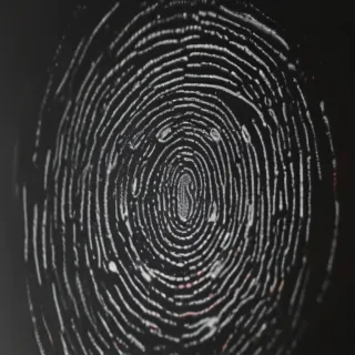fingerprint png