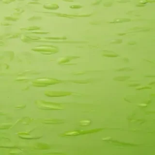 lime green background