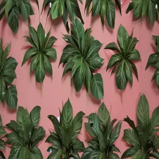 aesthetic plant wallpaper