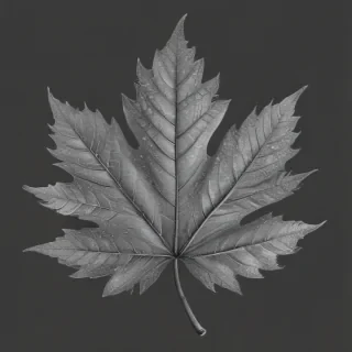 leaf clip art black and white