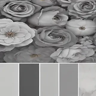 aesthetic grey