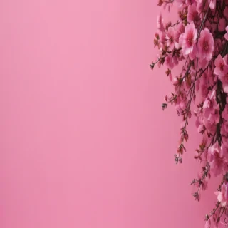 cool pink background
