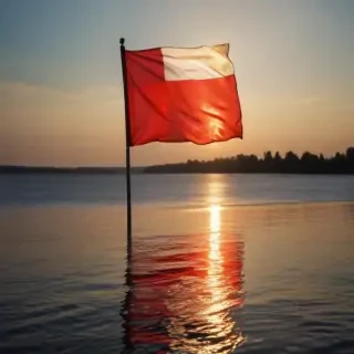 polish flag